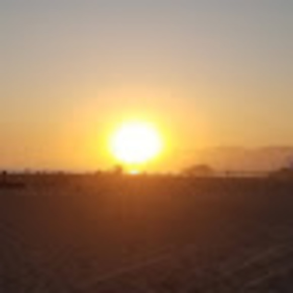 Meet your Posher, Tim - Picture 1 of 1